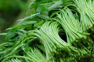 10 tác dụng không ngờ của rau muống